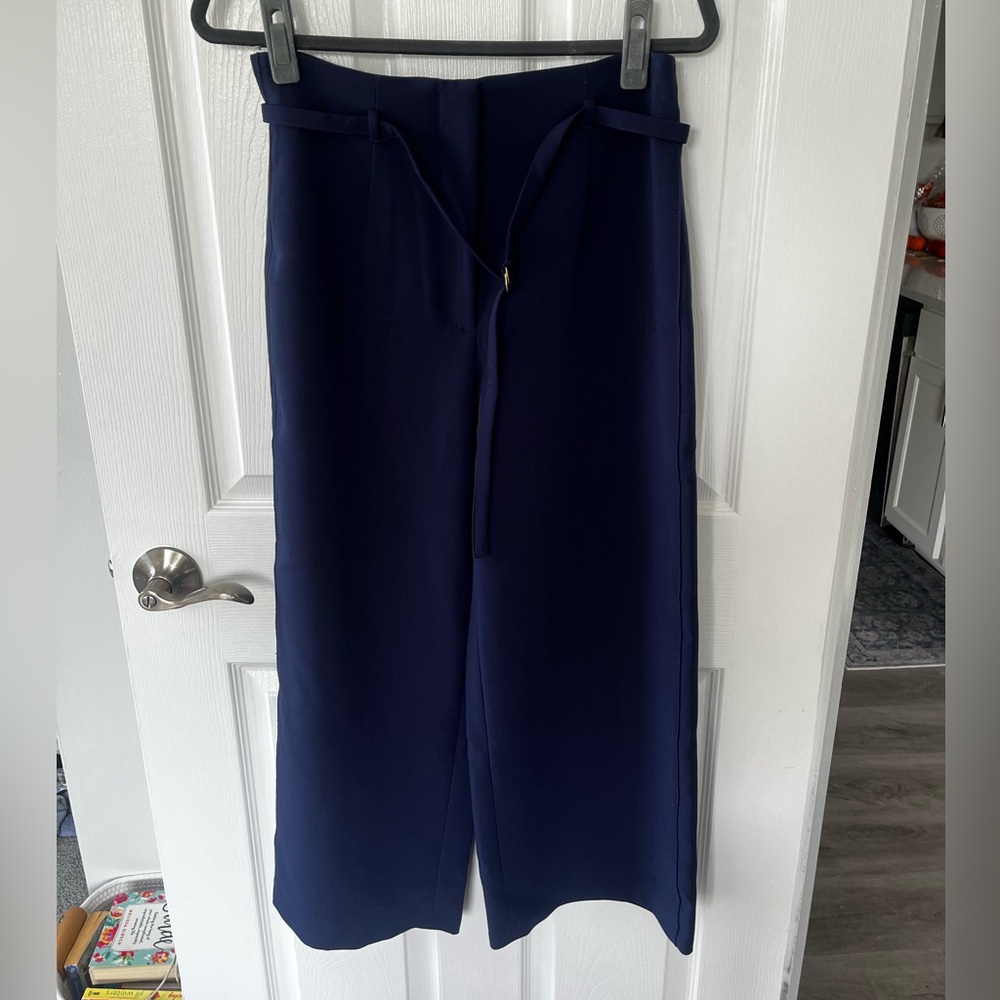 Zara pants